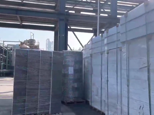 四川福華集團  二乙酯項目，塔內(nèi)件，填料